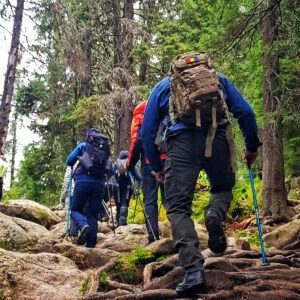 Drumetiile Urmatoare