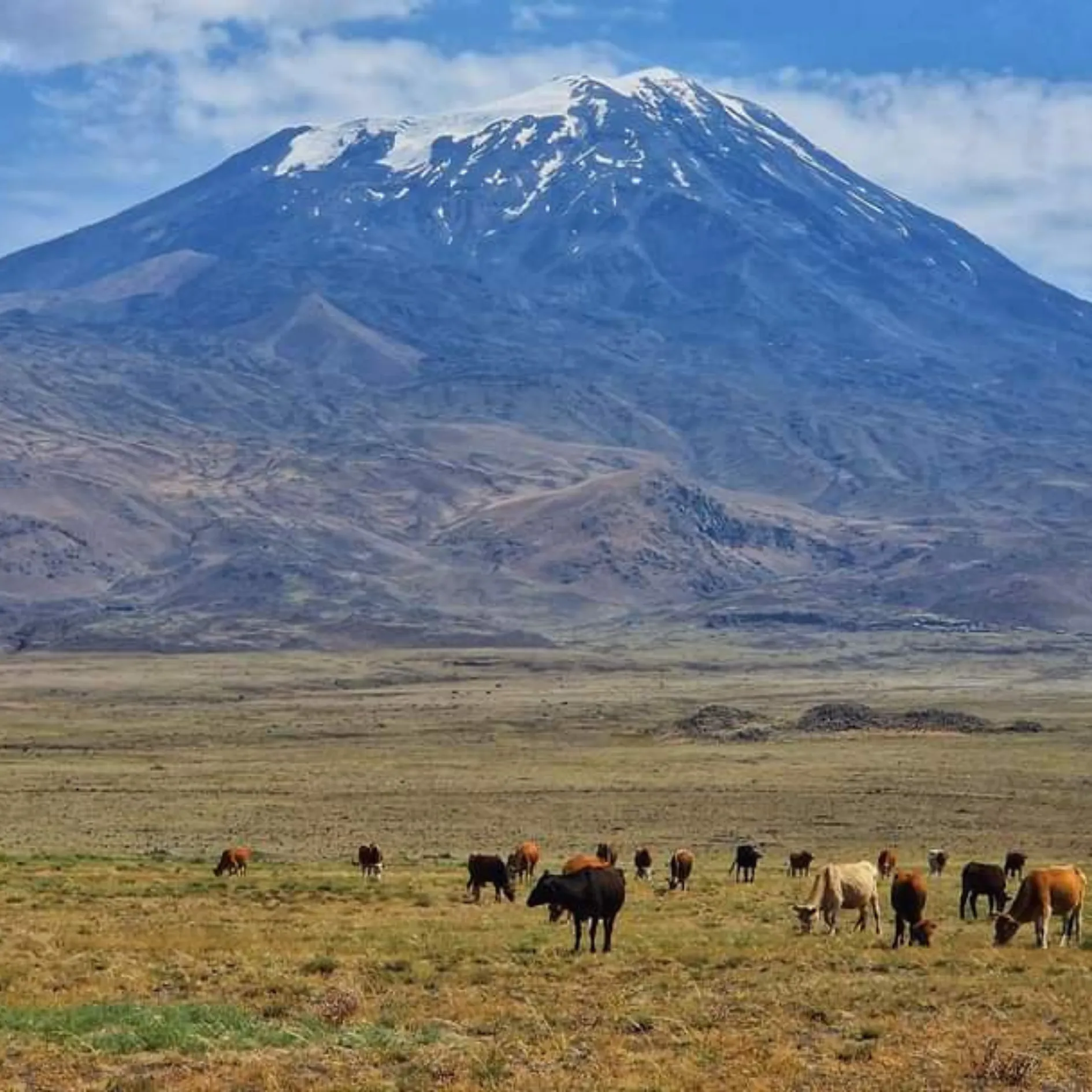 expeditie vacanta drumetie vf ararat turcia (5)