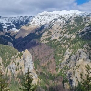 Retezatul Mic Sălbatic | de la Dâlma cu Brazi până la Dâlma Mare| Varful Piule 2081m | Stâna Scorota