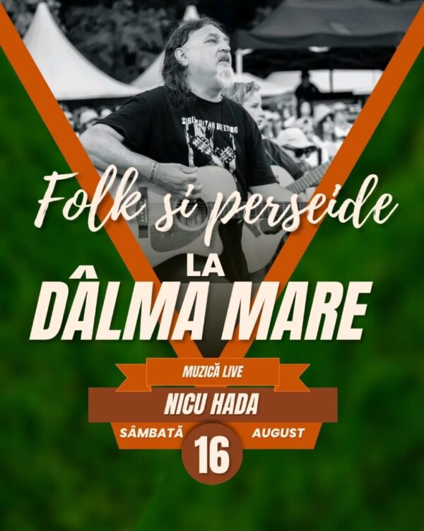 Folk și Perseide la Dâlma Mare - Image 9