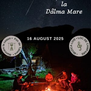Folk și Perseide la Dâlma Mare