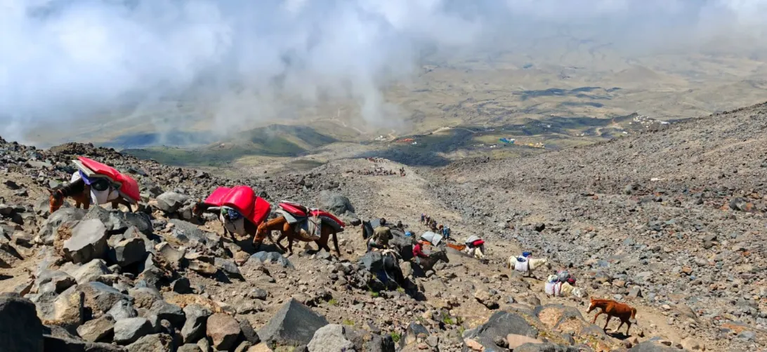 vacanta-expeditie-ararat-2025 (49)