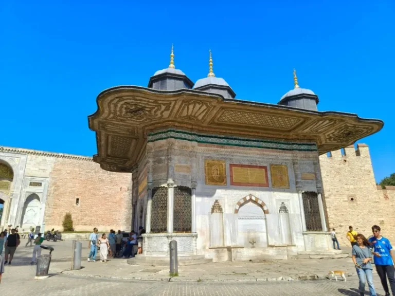 vacanta-expeditie-ararat-2025 (61)