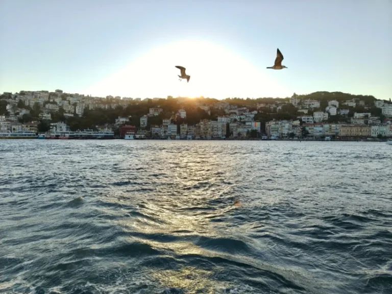 vacanta-expeditie-ararat-2025 (62)