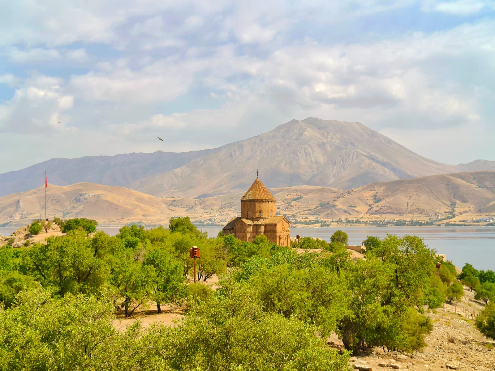 WhatsApp Image 2025-11-26 at 15.10.33 (1)