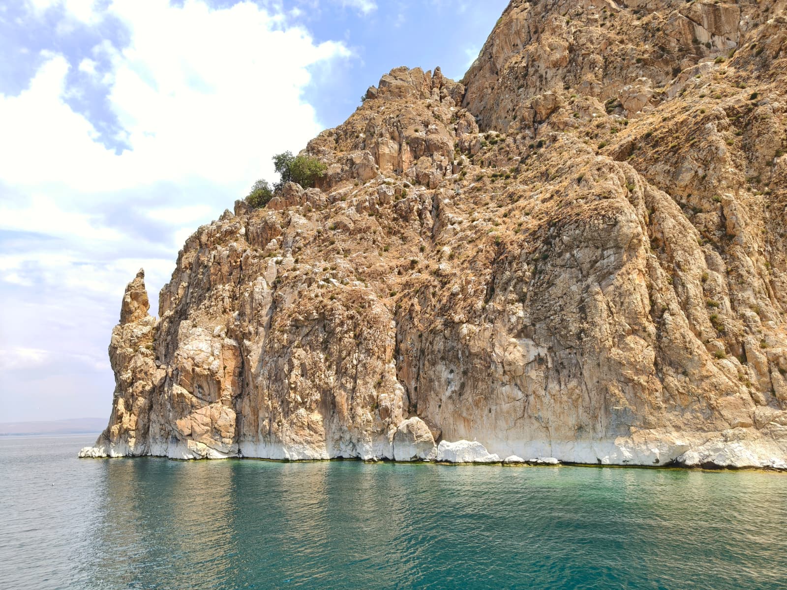 WhatsApp Image 2025-11-26 at 15.10.33 (3)