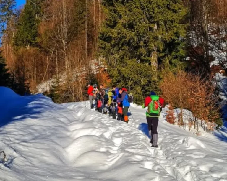 drumetie-varful-paltina-2026 (4)