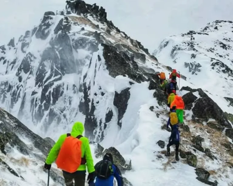 drumetie-vf-papusa-cabana-gentiana-2026 (2)