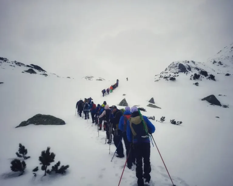 drumetie-vf-papusa-cabana-gentiana-2026 (3)