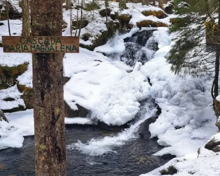 drumetie-vf-papusa-cabana-gentiana-2026 (4)