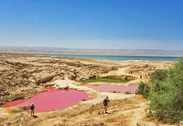 vacanta-iordania-8-zile (6)