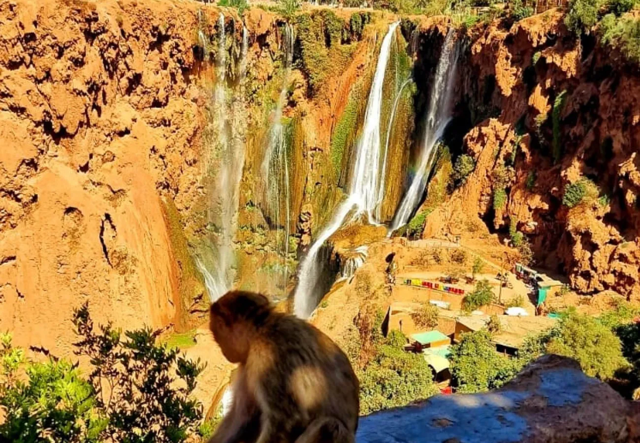 expeditie-maroc-2026-out2trek-ziua7 (3)