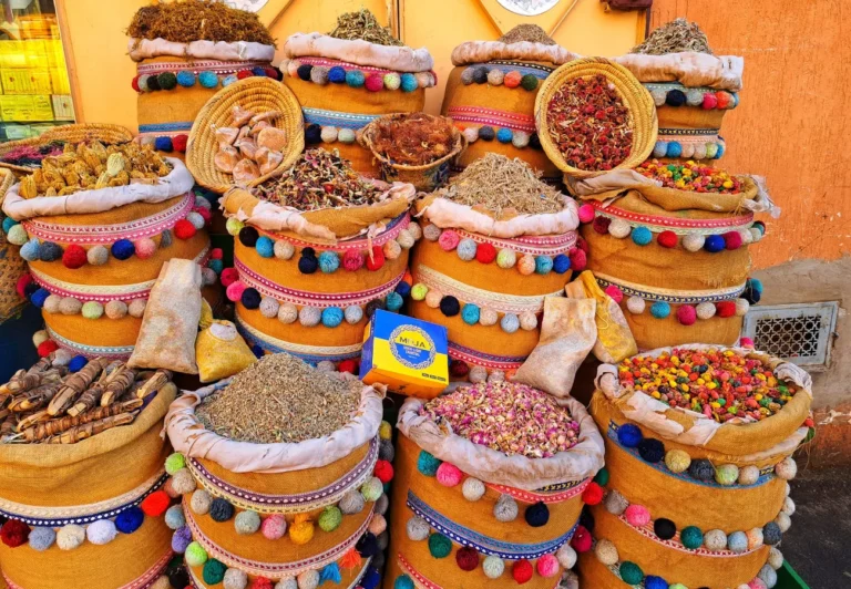 expeditie-maroc-2026-out2trek-ziua7 (6)