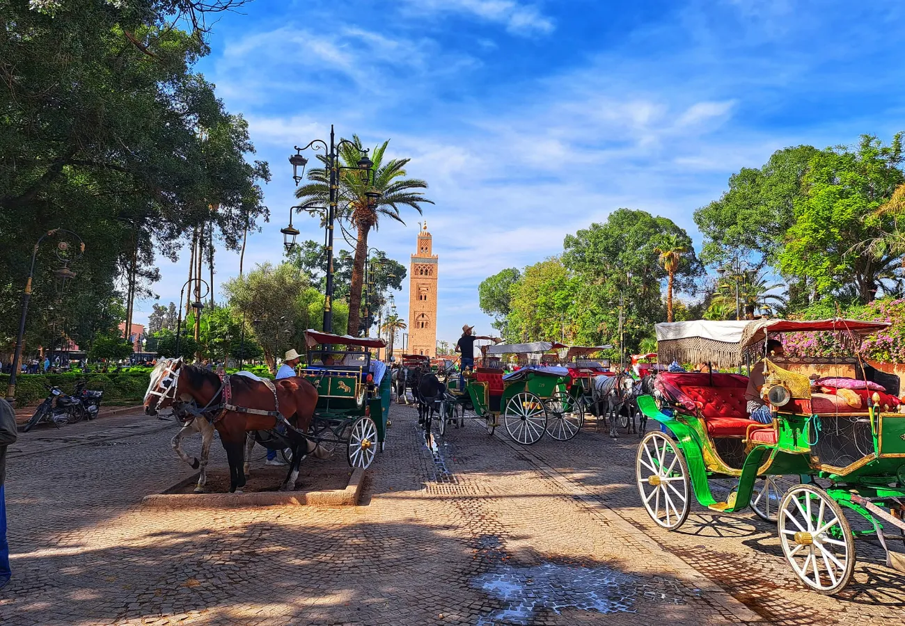 expeditie-maroc-2026-out2trek-ziua7 (8)