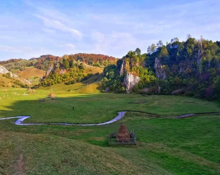 drumetie-palma-lui-dumnezeu-out2trek (2)