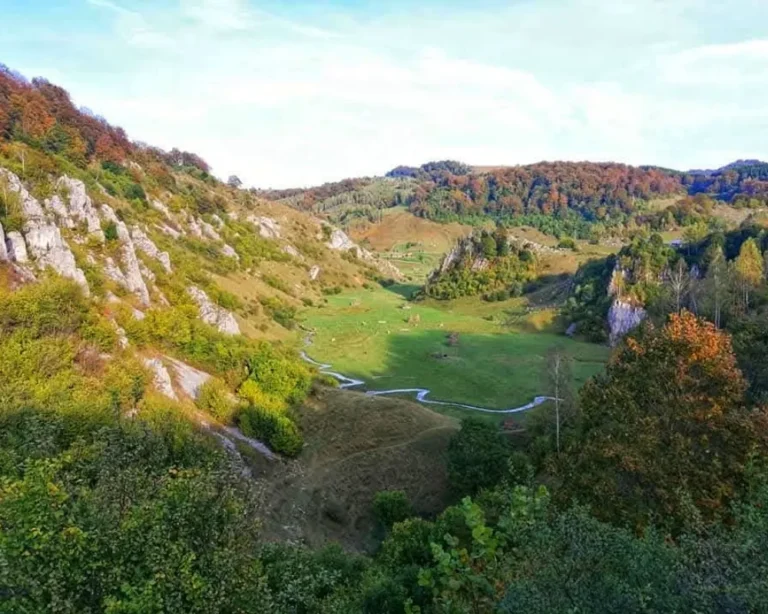 drumetie-palma-lui-dumnezeu-out2trek (4)