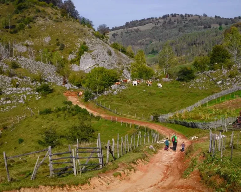 drumetie-palma-lui-dumnezeu-out2trek