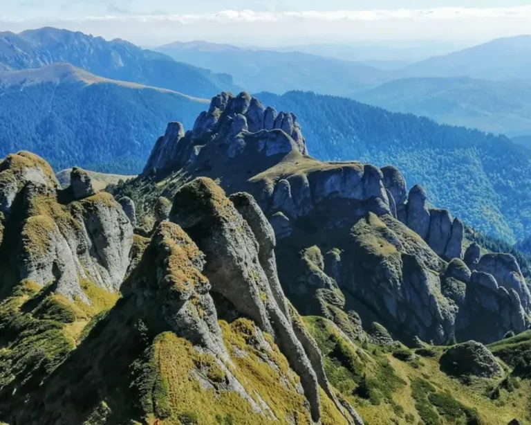 drumetie-vs-ciucas-2026 (4)