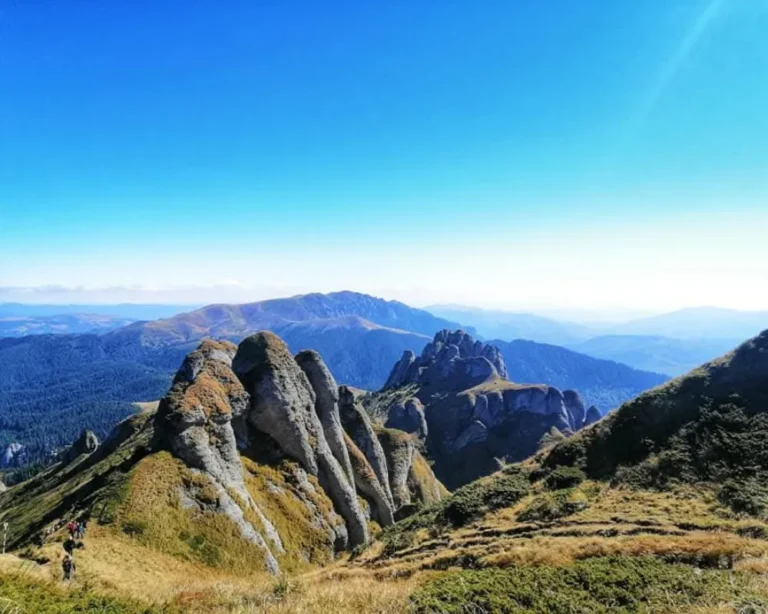 drumetie-vs-ciucas-2026