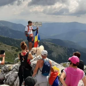 Drumeție Vf. Piatra Iorgovanului 2014m | Canioane si portale in Valea Iarului | Vf. Albele 2013m | Scorota |Retezatul Mic Salbatic